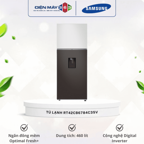 Tủ Lạnh 2 cánh Bespoke Inverter 406 Lít Samsung RT42CB6784C3SV