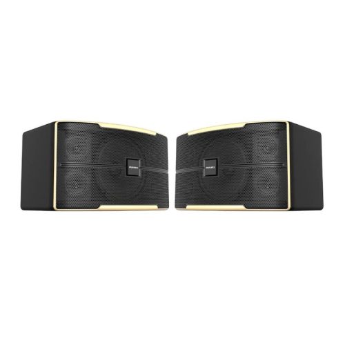 Loa Karaoke 12 Inches Paramax Z-2500