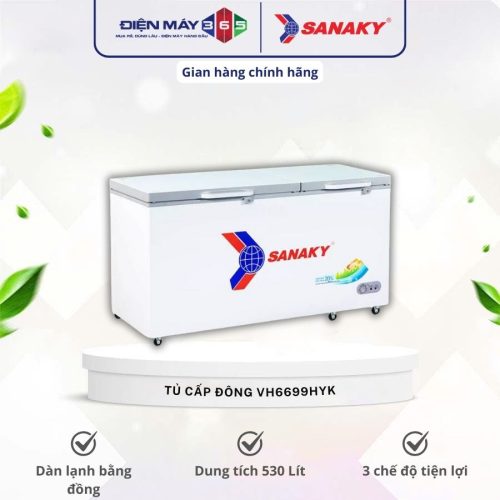 Tủ đông Sanaky VH6699HYK